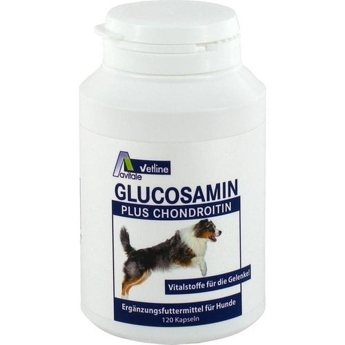 Avitale Gmbh Glucosamine + Chondroitin Capsules For Dogs 120 pcs