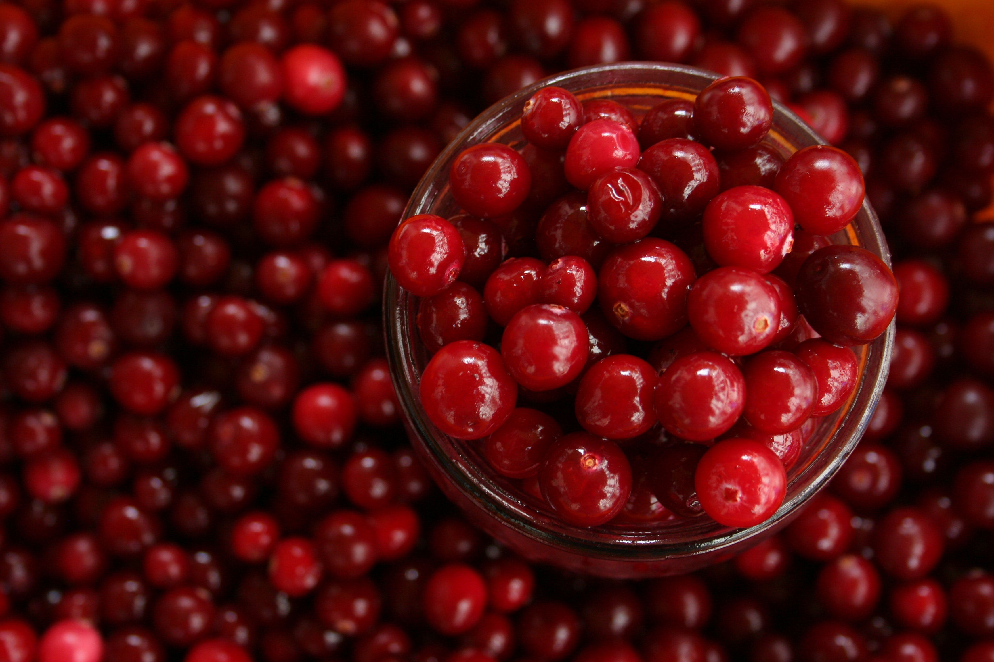Cranberry, small but nice