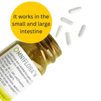 An open amber supplement bottle labeled OMNIFLORA N with several white capsules scattered beside it on a white background, plus a large yellow circle with the text 'It works in the small and large intestine.'.
