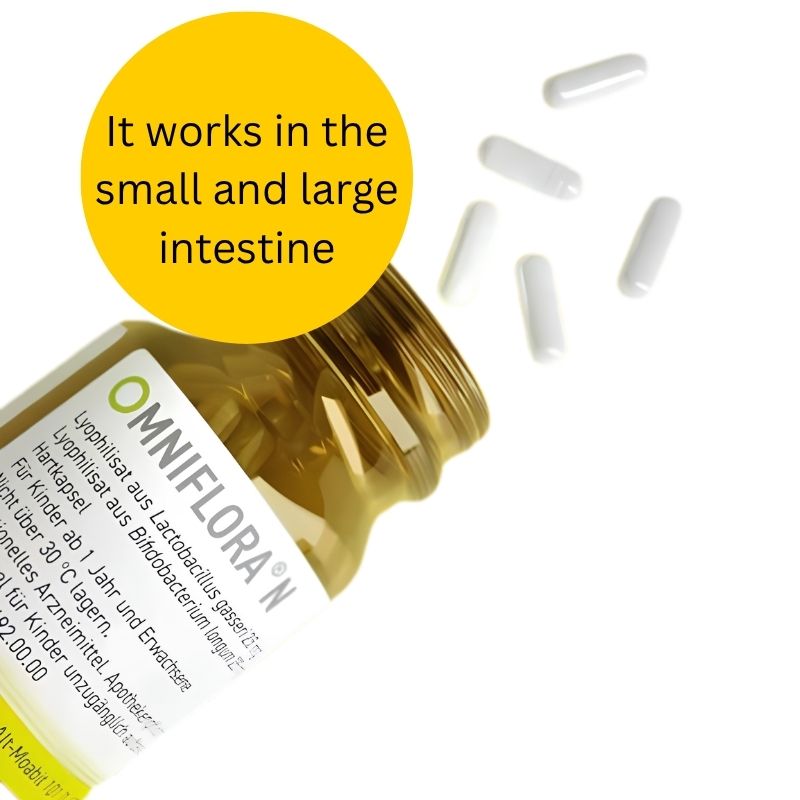 An open amber supplement bottle labeled OMNIFLORA N with several white capsules scattered beside it on a white background, plus a large yellow circle with the text 'It works in the small and large intestine.'.