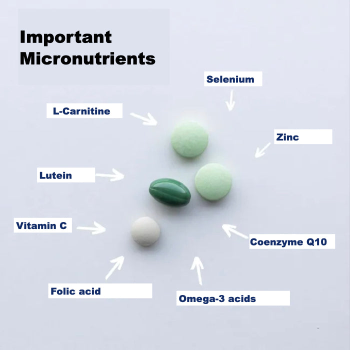 Orthomol Fertil Plus contains an array of micronutrients, such as selenium, zinc, folic acid, coenzyme Q10 and more. These are contained in the 4 capsules of each daily portion sachet.