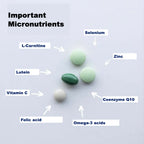 Orthomol Fertil Plus contains an array of micronutrients, such as selenium, zinc, folic acid, coenzyme Q10 and more. These are contained in the 4 capsules of each daily portion sachet.