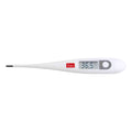 Bosch + Sohn Bosotherm Basic Termometer 1 PC