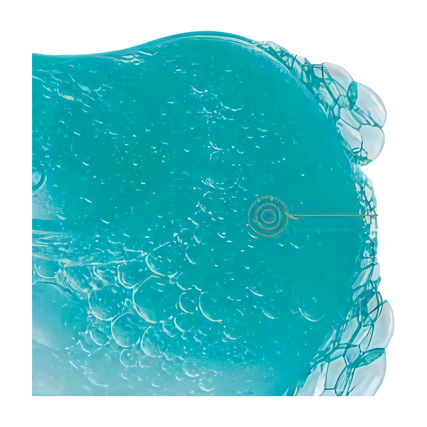 Close-up of a blue gelatinous surface with bubbles