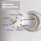 Neuroprotect Capsules contain vitamin b, folic acid, magnesium, cytidinmonophosphate, uridinmonophosphate