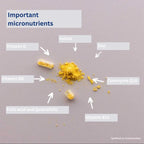 Overview of micronutrients