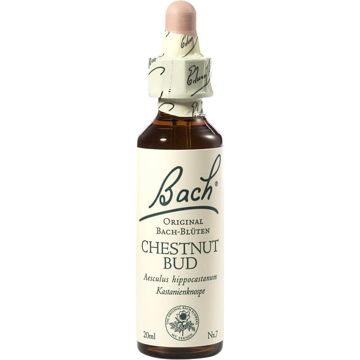 Bach Flower Chestnut Bud Drops 20 ml
