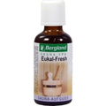 Bergland-Pharma Gmbh & Co. Kg Sauna Infusion Concentrate Eukal Fresh 50 ml