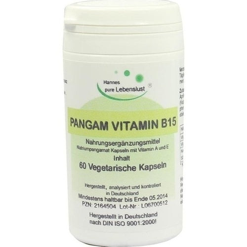 G & M Naturwaren Import Gmbh & Co. Kg Pangam Vitamin B15 Capsules 60 pcs