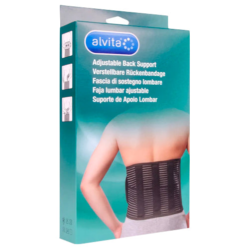 Alvita Back Support 1 pc