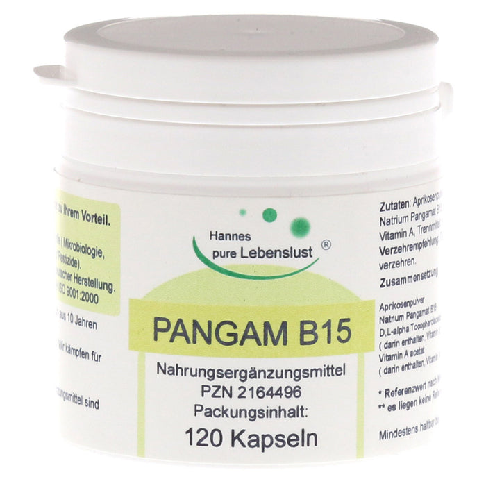 Pangam Vitamin B15 Capsules 120 pcs